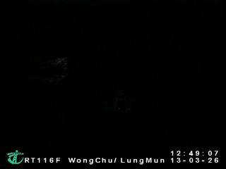 皇珠路近屯門鄉事會路