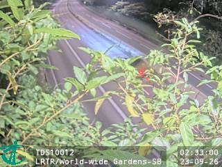 獅子山隧道公路近世界花園 - 南行