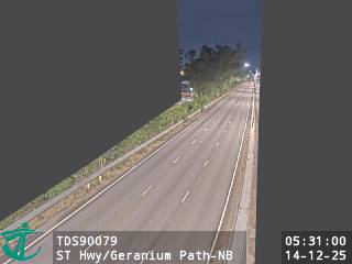 新田公路近洋葵徑 - 北行