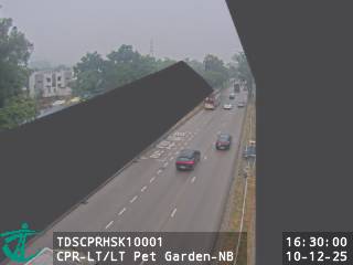 青山公路藍地段近藍地寵物公園 - 北行